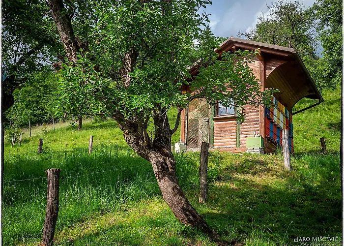 Turisticna Kmetija Markun Appartement Golnik